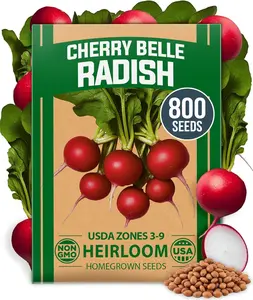 Cherry Belle Radish Seeds 800+ Heirloom Vegetable Seeds for Planting Outdoors Harvest in 30 Days Red Radishes, Spring and Fall Garden(Raphanus Sativus)
