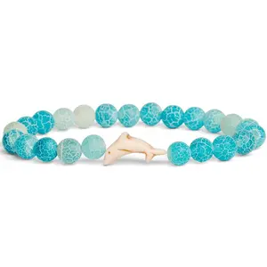 Fahlo Dolphin Tracking Bracelet | Track a Real Dolphin
