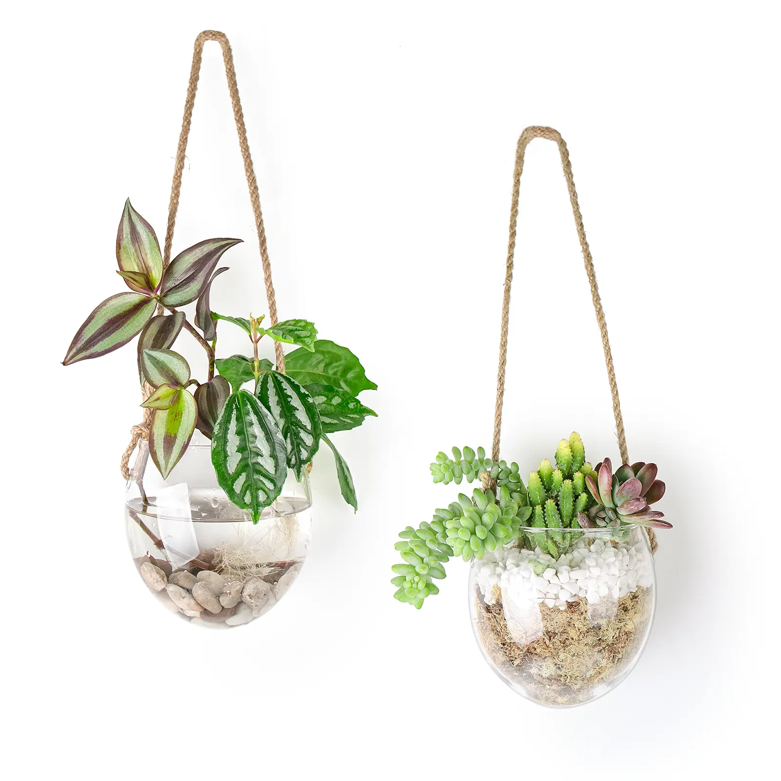 Ivolador Wall Hanging Glass Flower Plants Terrarium Container for Hydroponic Plants, Home Office Garden Decor, Set of 2