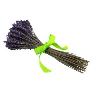 Dried Royal Velvet Bundle Decor