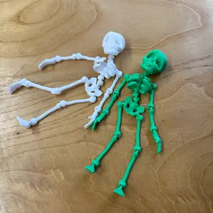 Flexi Skeleton