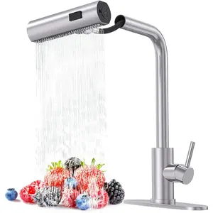 Brushed nickel single hole kitchen faucets with pull down sprayer single handle high flow water pull out tap stainless steel sink faucet suitable for farmhouse camper laundry rv bar