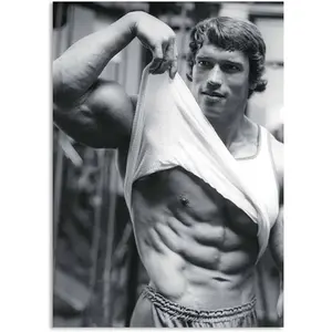 No Framed, rnold Schwarzenegger Fitness Inspirational
