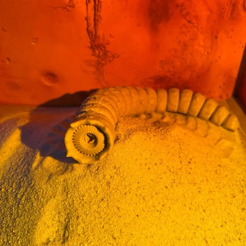Flexible Dune Sandworm Toy – 3D Printed Articulated Sci-Fi Creature – Poseable Desert Worm Figurine – Unique Gift for Movie Fans