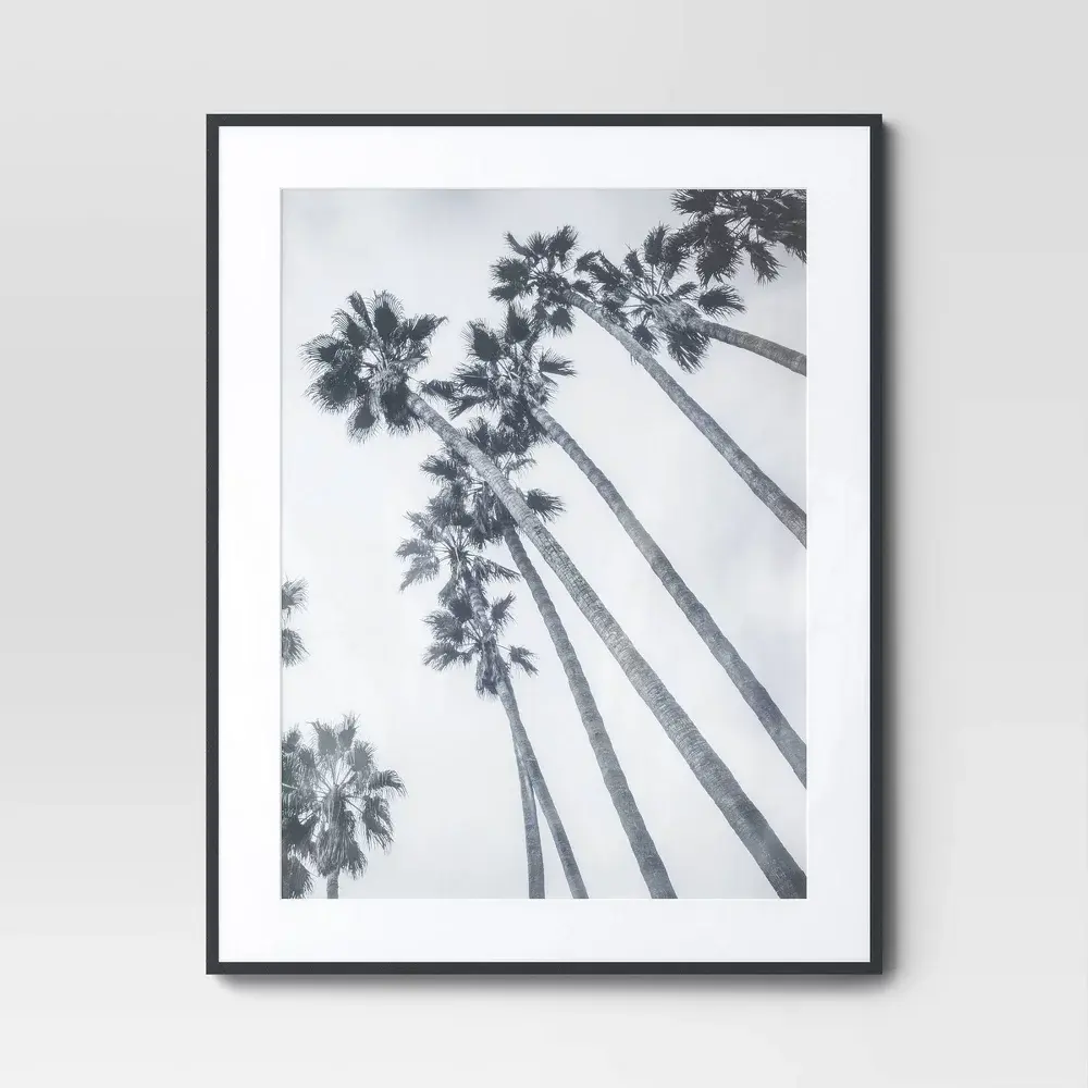 22" x 28" Matted to 18" x 24" Elevated Aluminum Poster Frame Black - Threshold