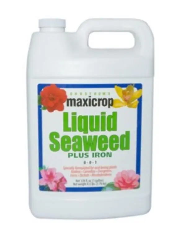 58 MaxiCrop Original Liquid Seaweed Plus Iron Gallon.