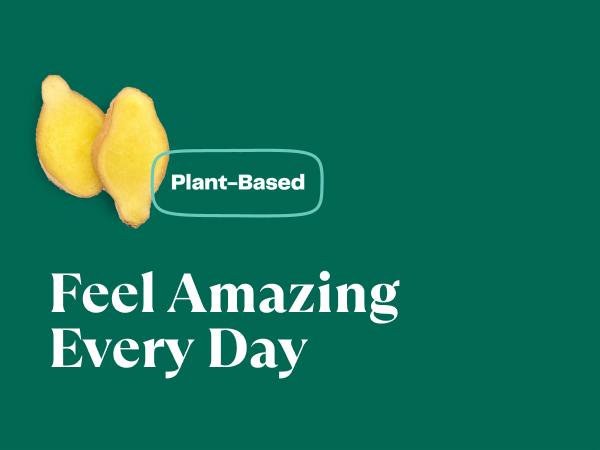 Amazing Grass Greens Blend Detox & Digest, 7.4oz, 30 Servings Supplement Healthcare Powder Dietary Edible Fitness