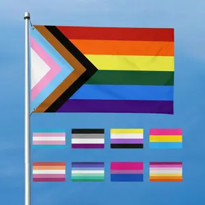 LGBTQ Transgender Pride Flag Lightweight Bisexual Pansexual Asexual Male Nonbinary Genderfluid Lesbian Straight Ally Flag Wall Hanging for Bedroom, Living Room, Birthday Holidays Gifts Home Wall Art Decor
