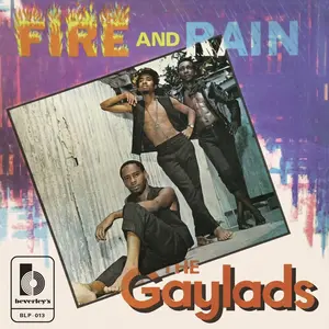 Gayladds - Fire And Rain  [VINYL RECORD - LP]
