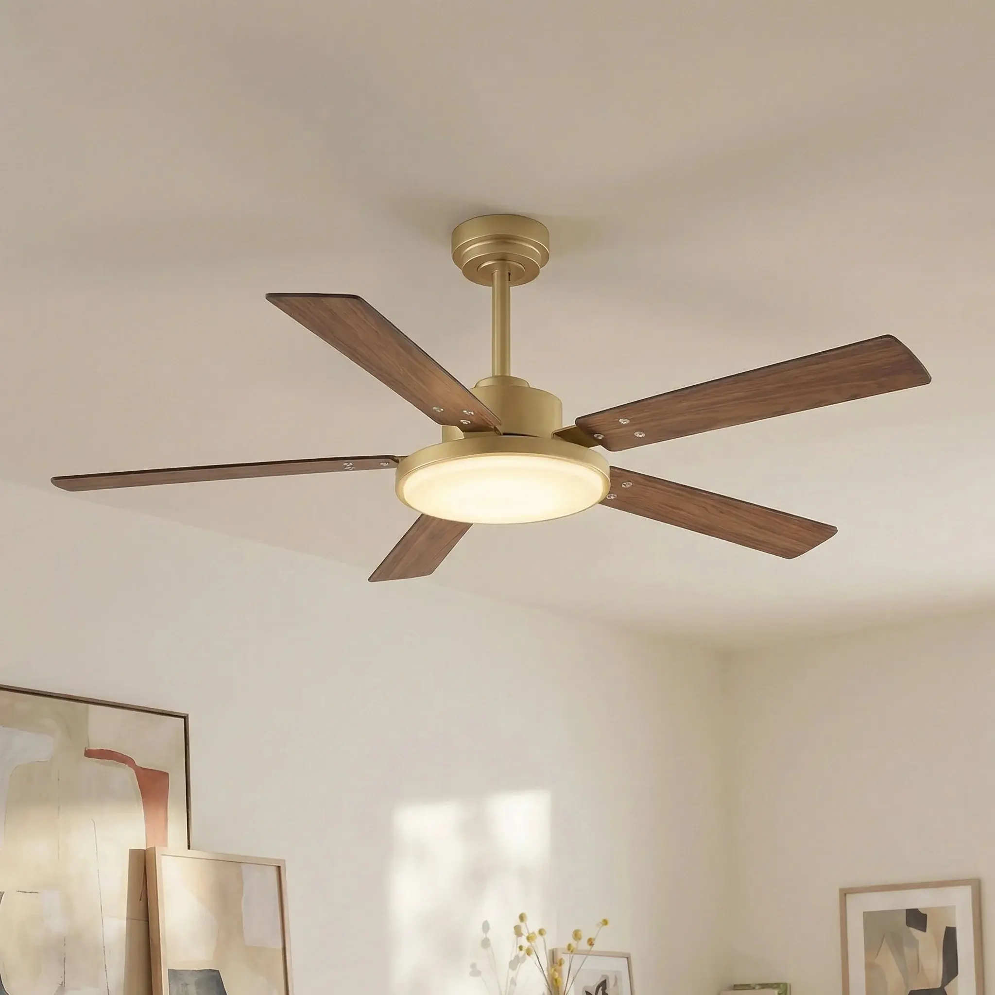 52 Inch Double-sided Blades Modern Ceiling Fan with Remote Control and LED Light