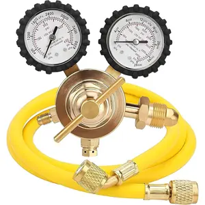 Nitrogen Regulator with 0-400 PSI Delivery Pressure, 60" Hose CGA580 Inlet Connection and 1/4'' Male Flare Outlet Connection