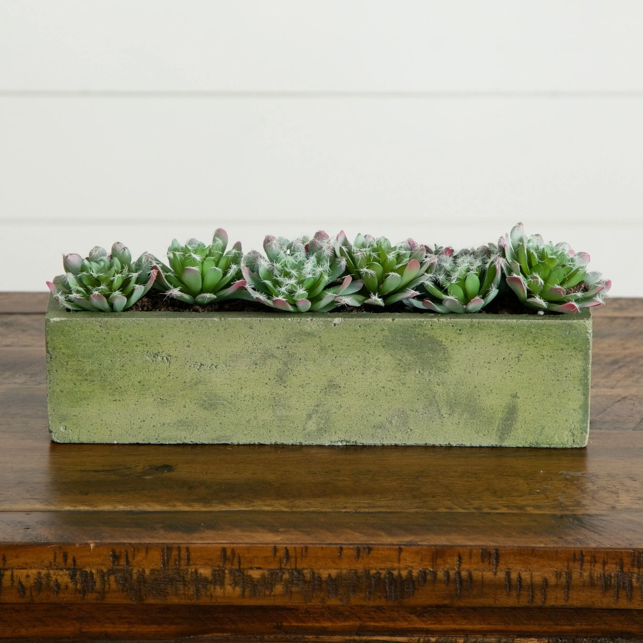 5.5in Textured Concrete Succulent Pot - Rustic Home Decor Pots, Planters for Outside, Great for Sunroom, Long a Favorite for Succulent Displays