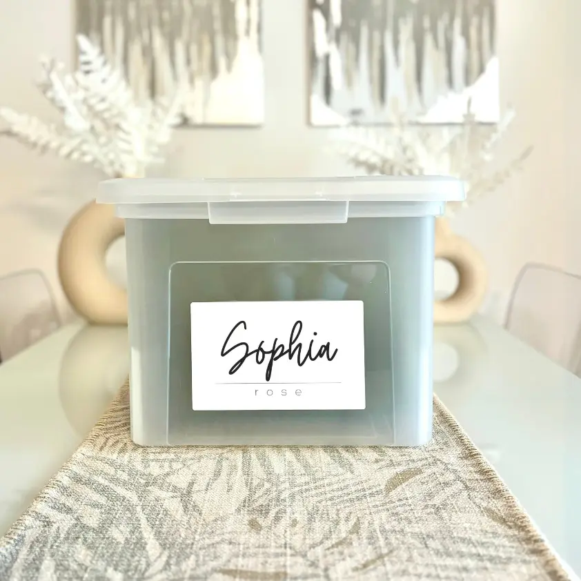 School Year Keepsake Memory Organizer: Children's Kit