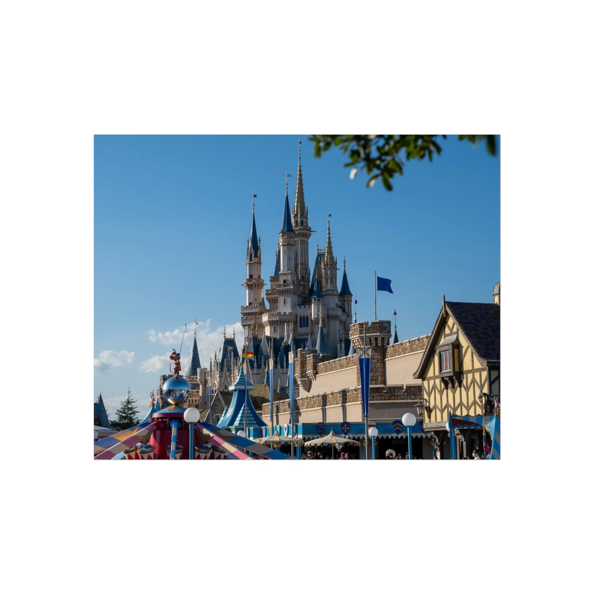 Photo Poster - Tokyo Disney castle, Japan