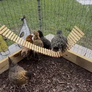Outside Chicken Coop Toy Chicken Toys for Hens Natural Wood Chicken Ladder outdoor Chicken Swing Chicken Perch for Birds Poultry Rooster Chicks
