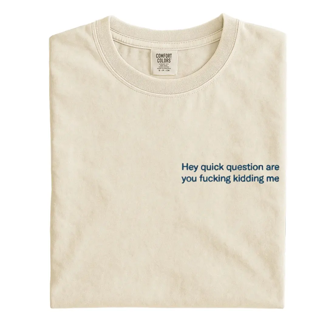 "Hey Quick Question Are You Kidding Me" Embroidered T-Shirt - Original Polychrome Goods - Funny Graphic Tee, Comfort Colors, Men's Short-Sleeve - Casual Original Cotton Fabric, Perfect Fit, Funny Shirt, Crewneck, Embroidery, Words on S | Foodie Fun Shirt