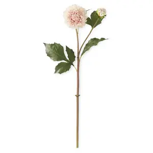 20 Inch Light Peach Real Touch Dahlia Bud & Bloom