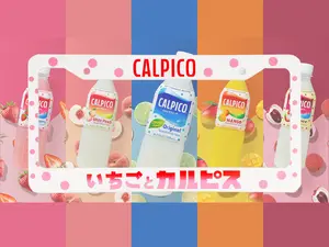 Calpico Strawberry License Plate Frame