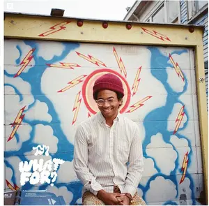 Toro y Moi - What for  [VINYL RECORD - LP]