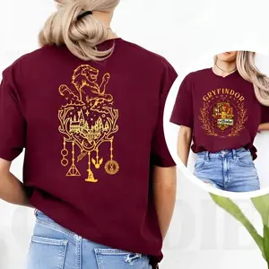 Vintage Gryfindor House Shirts, Hogwarts House 2 Side Sweatshirt, HP Wizard School tee,Universal Studios Shirt, Wizard Castle, Universal Family