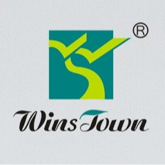 Wins Town Health Home