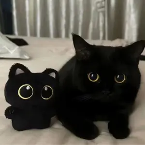 Cat Design Plush Toy, 1 Count Cute Cat Plush Keychain, Super Soft Cuddly Cat Stuffed Animal, Kawaii Plushies, Huggable Stuffed Animal, Perfect for Teenager Birthday Gift