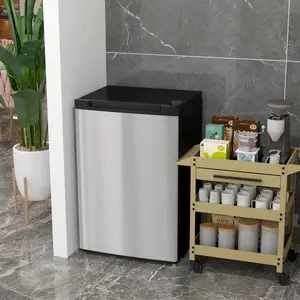 3 Cu Ft Small Upright Freezer - Reversible Single Door, Adjustable Thermostat for Camping, Home Use, Silver (Camp Kitchen Cooler for Outdoor Hiking Trips)