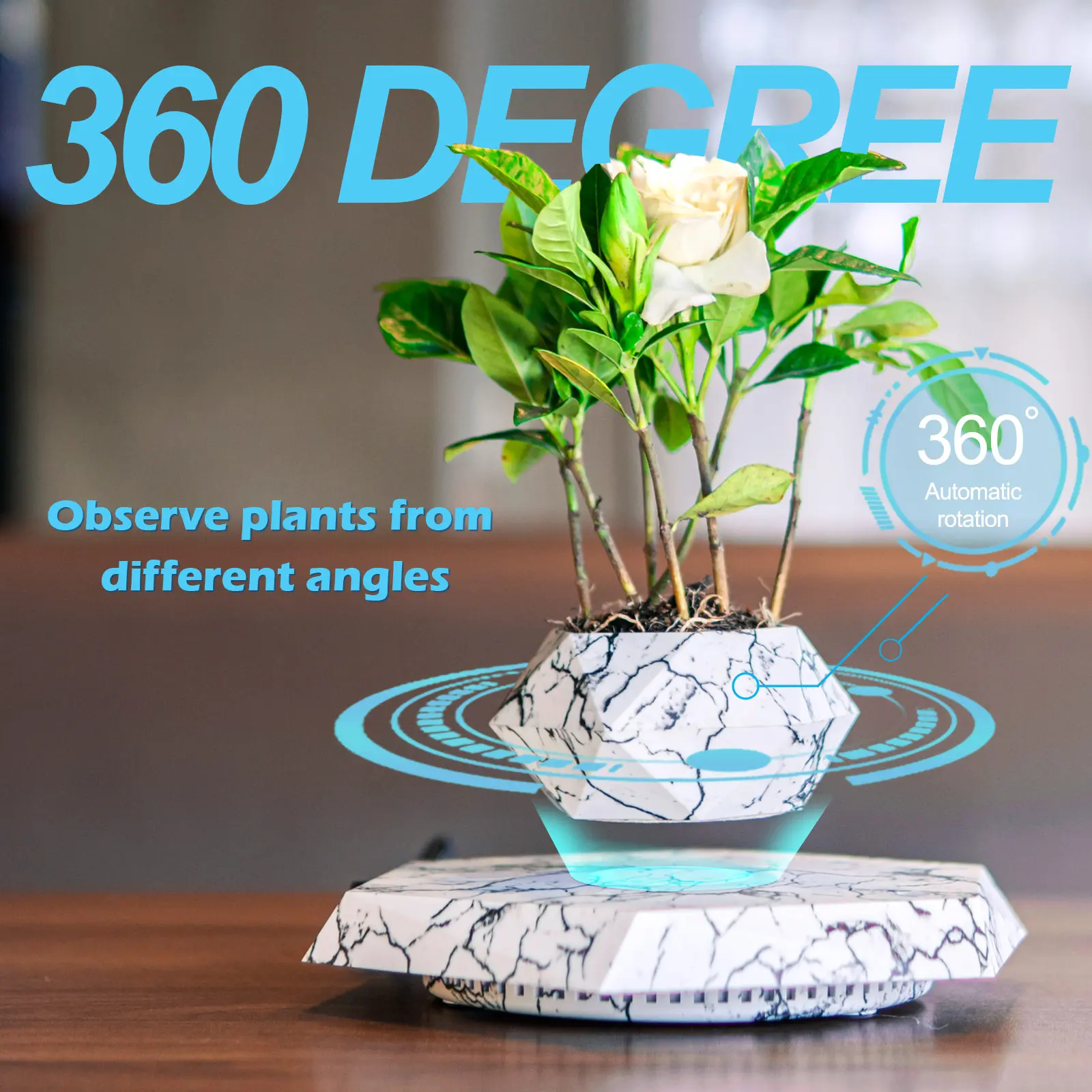 HCNT Magnetic Levitation Potted Plant - 360-Degree Rotating Modern Bonsai, Desktop Decor for Live Plants, Perfect Mother's Day Gift (Home Supplies, Home Decor Statues & Figurines), Creative Gift