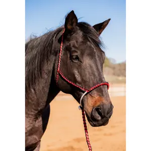 Red and Black Lariat Noseband Mule Tape Halter