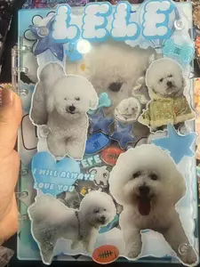Custom Transparent Acrylic Shaking Notebook | Pet Customization | Anniversary Customization shake notebook