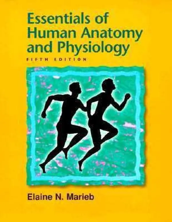USED-Essentials of Human Anatomy and Physiology by Rn Marieb Elaine Nicpon (Paperback)