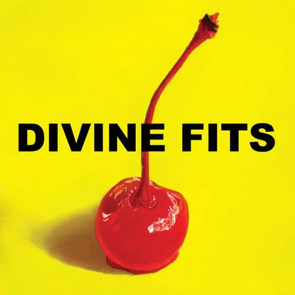 A Thing Called Divine Fits - Divine Fits - Record Album, Vinyl LP