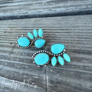 Sedona Fan Faux Turquoise Earrings