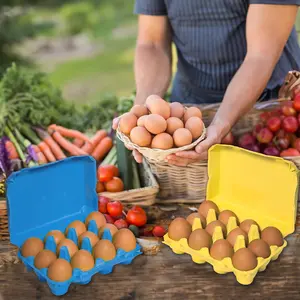 Pakiti Dozen Colored Egg Cartons 20 Pack, Reusable Natural Paper Pulp | Colorful 3X4 Vintage Style Holds 12 Large Eggs for Farmers Market and Easter Eggs Basket Generic