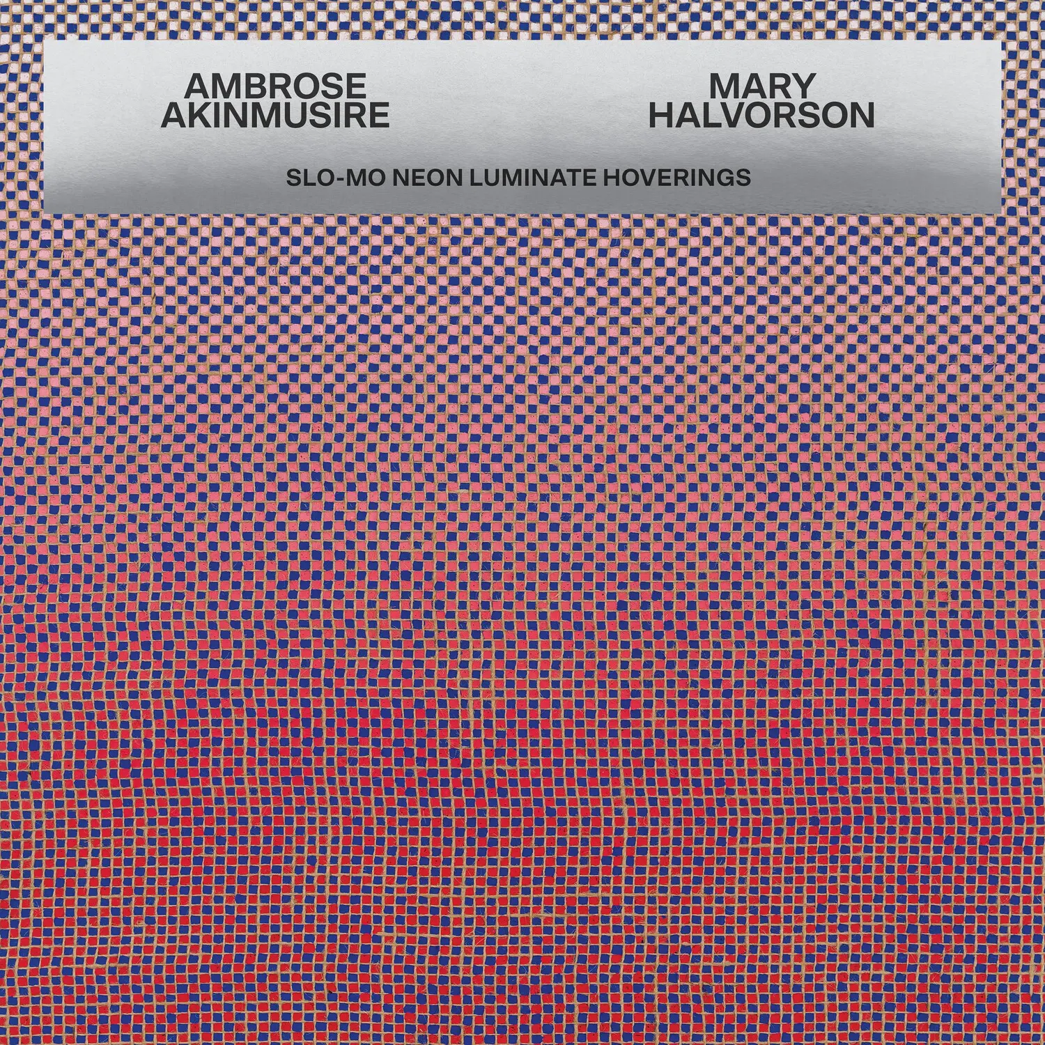 Ambrose Akinmusire & Mary Halvorson - Slo-mo Neon Luminate Hoverings  [VINYL RECORD - LP]