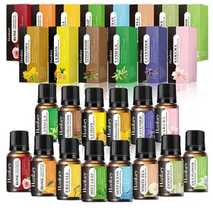 10ml Water Soluble Essential Oil Set, 14pcs/set Various Scents Soothing & Sweet Dreams Blends Kit, Home Fragrance Aroma Diffuser Oil Scented for Car Bedroom Office Salon Hotel Aromatherapy