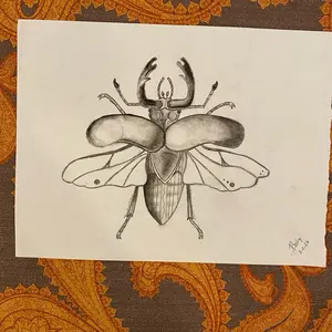 Stage beetle , 8 x 10 charcoal. POOR PAPER QUALITY