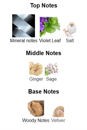 Valentino Uomo Born In Roma for Men Eau de Toilette Spray, 3.4 Ounce Valentino Uomo Born In Roma for Men Eau de Toilette Spray, 3.4 Ounce