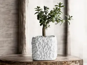 TerraForma Voronoi Planter – Modern Plant Pot with Organic Rock Shape – Square Decorative Pot for Indoor Plants, Succulents, and Home Decor