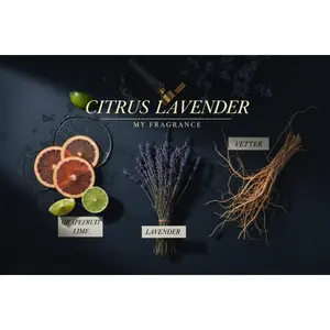 MY Elysium-Scent Fresh Citrus Aromatic Fragrance for Men with Grapefruit Lime Lemon Bergamot & Lavender Notes Eau de Parfum Year Round Wear