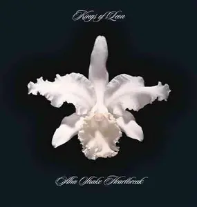 Aha Shake Heartbreak - Kings Of Leon (Vinyl)