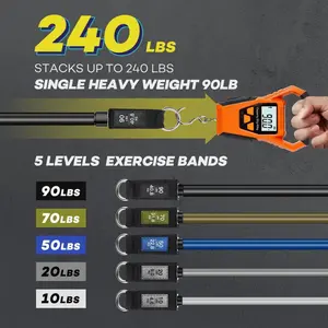 Heavy Resistance Bands for Working Out, Resistance Bands with Handles, Exercise Bands with Door Anchor, Carry Bag, Legs Ankle Straps for Physical Therapy, Home Workouts