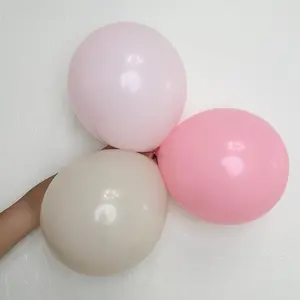 Macaron Blush Balloon Garland 3-in-1 Kit
