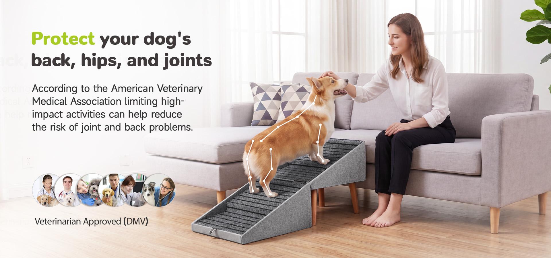 17-Inch Convertible Dog Stairs and Ramp