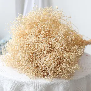 6500+ Dried-Babys-Breath-Flowers-Bouquet, Double Quantityed Ivory White Flowers, Natural Gypsophila Branches, Valentine's Day, Dry Flowers Bulk for Vase, DIY Wreath Home Party Wedding(5.7Oz)