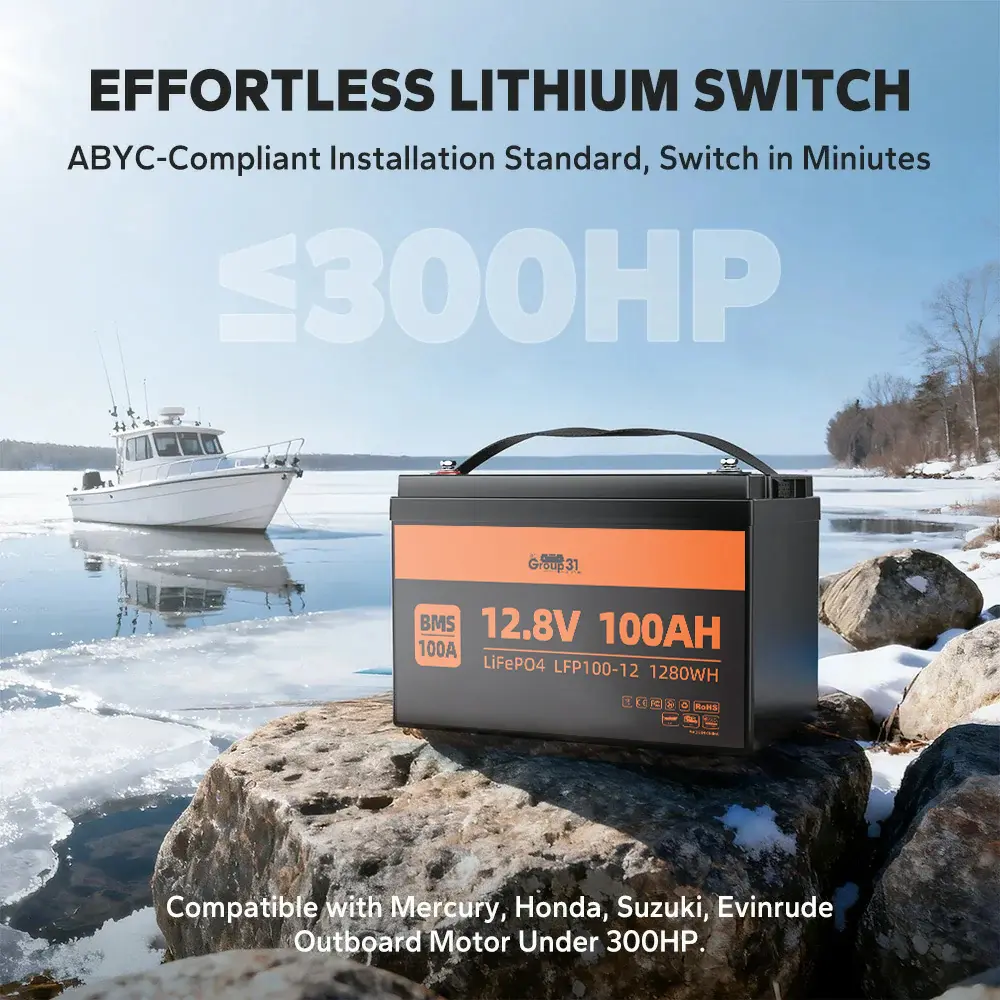 12V 100Ah LiFePO4 Battery,Replaceable Deep Cycle Lithium Battery,Built in 150A BMS, Cycles Battery,backup power,for RV, Marine, Solar System