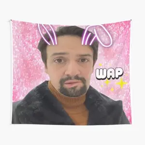 Tapestry  Hamilton Tapestry for Bedroom, College Dorm and Home Decor 60"x40", Funny Meme Wall Tapestries for Boy Girl Birthday Gifts