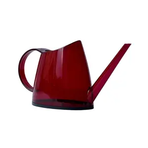 Transparent Watering Can