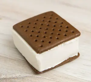 G-Box Freeze Dried Ice Cream Sandwich - Astronaut Chubby Crunch Ice Cream Sandwich - Freeze Dried Whole Ice Cream Sandwich