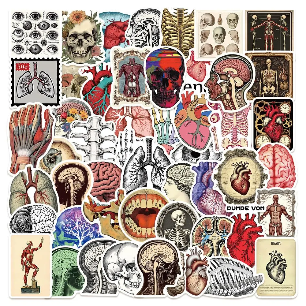 Vintage Anatomy Series Sticker, 50pcs/set Retro Science Anatomy Sticker, DIY Decorative Sticker for Scrapbook, Journal, Notebook, Water Bottle, Car Decal, Halloween, Decals Stickers, Graphic Decal, Includes Sticker